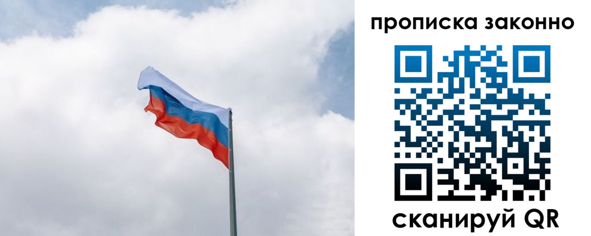 прописка поиск в Зеленоградске
